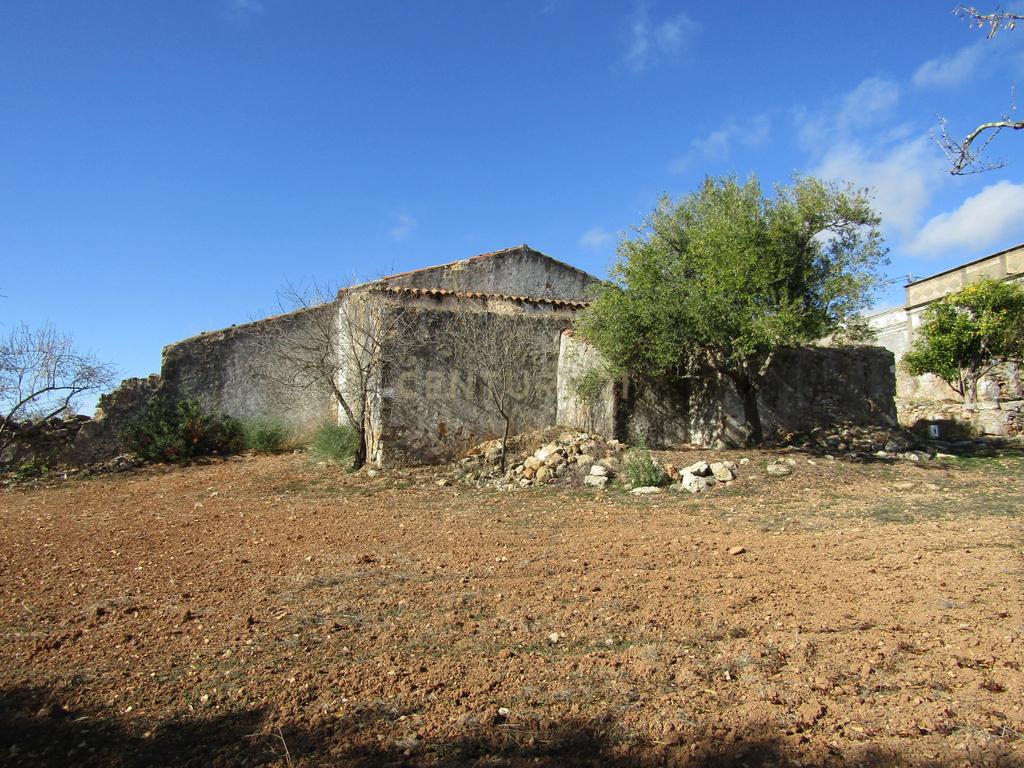 Terreno Urbano em Santa Catarina da Fonte do Bispo - Image 4