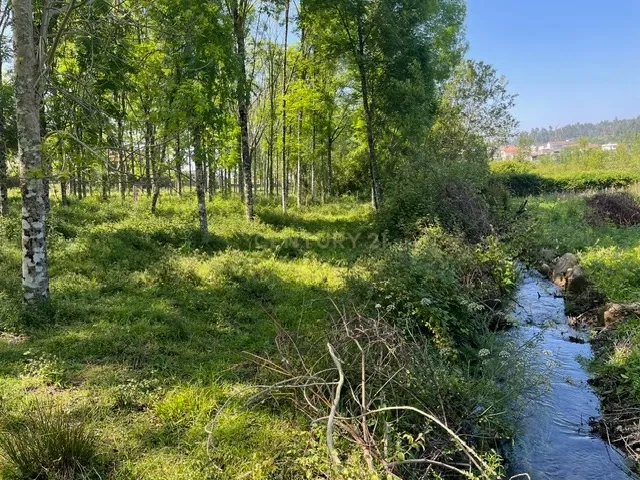 Terreno Rústico à Venda em Perozelo, Penafiel – Perfeito para Moradia - Image 15