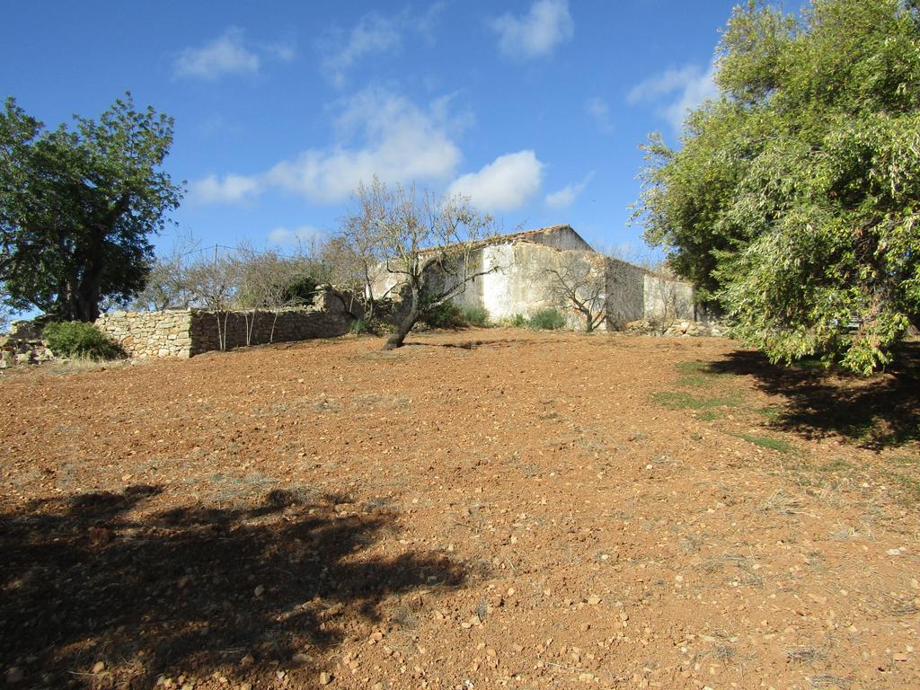 Terreno Urbano em Santa Catarina da Fonte do Bispo - Image 6