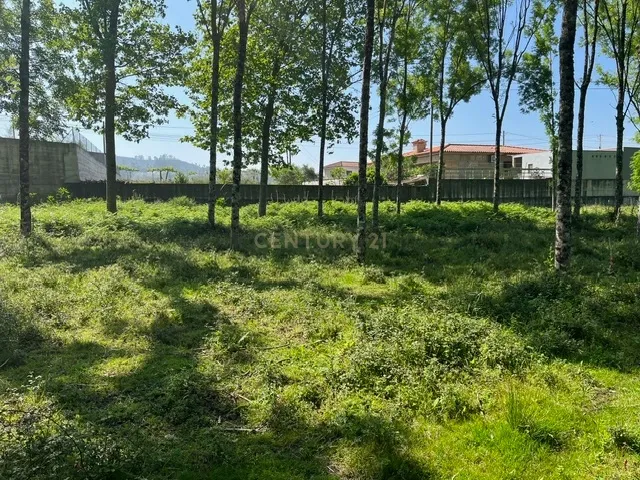Terreno Rústico à Venda em Perozelo, Penafiel – Perfeito para Moradia - Image 23