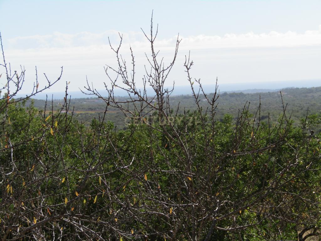 Terreno Urbano em Santa Catarina da Fonte do Bispo - Image 10