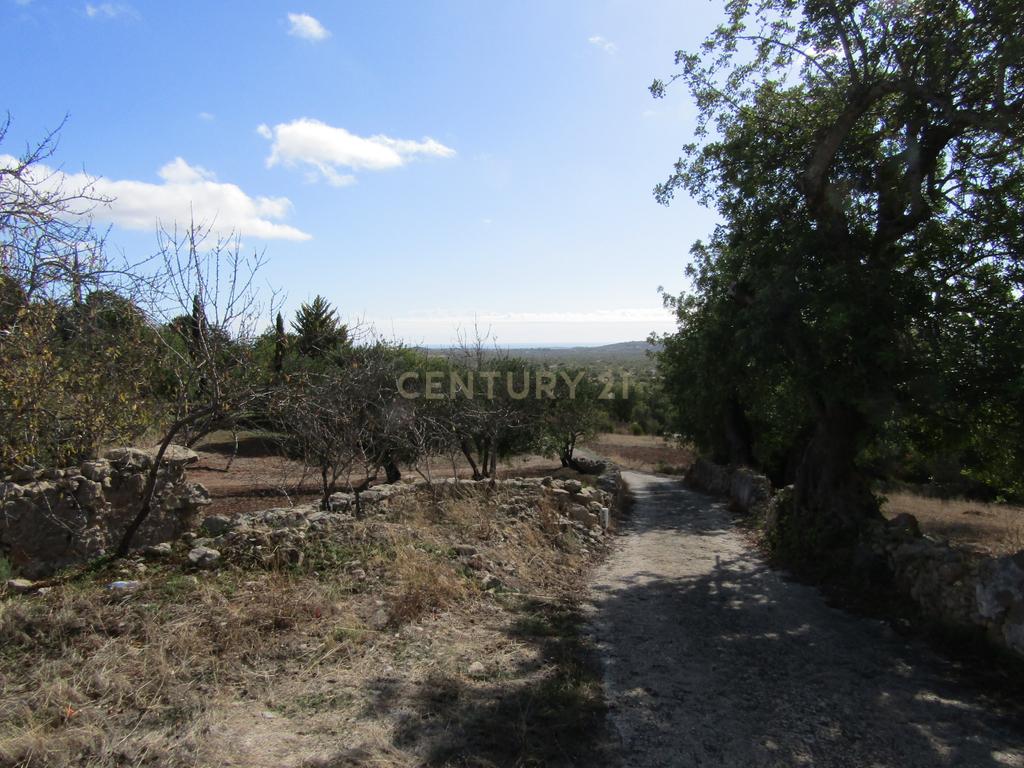 Terreno Urbano em Santa Catarina da Fonte do Bispo - Image 11