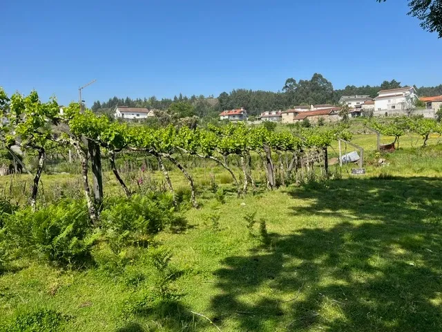 Terreno Rústico à Venda em Perozelo, Penafiel – Perfeito para Moradia - Image 41