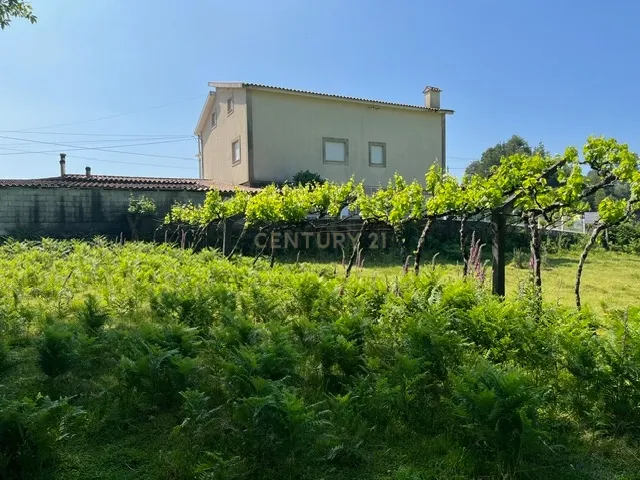 Terreno Rústico à Venda em Perozelo, Penafiel – Perfeito para Moradia - Image 31