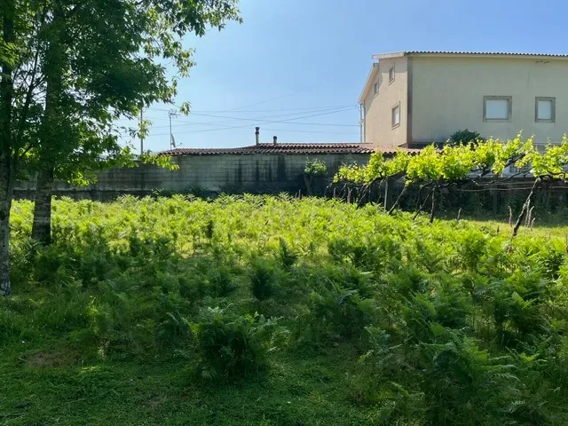 Terreno Rústico à Venda em Perozelo, Penafiel – Perfeito para Moradia - Image 29