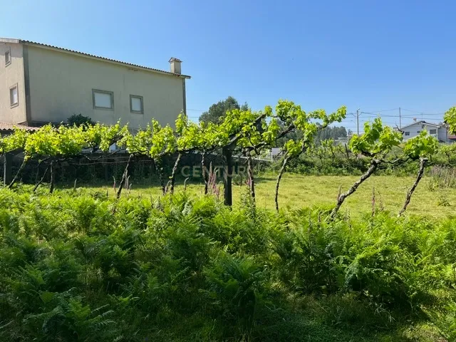 Terreno Rústico à Venda em Perozelo, Penafiel – Perfeito para Moradia - Image 30