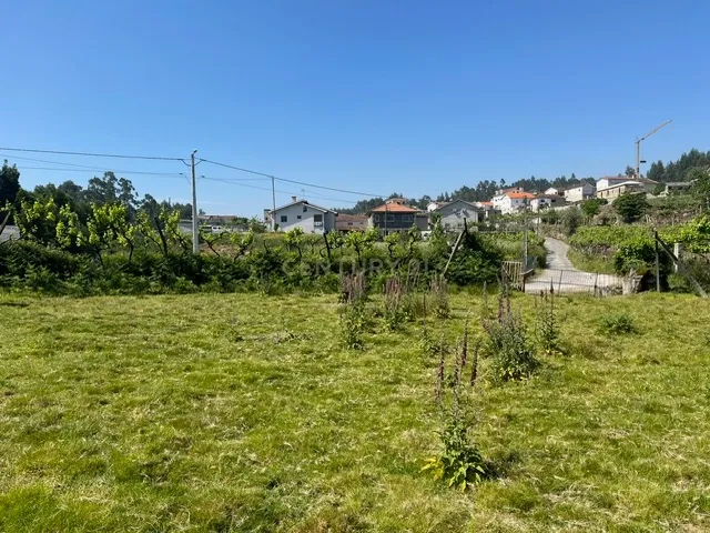 Terreno Rústico à Venda em Perozelo, Penafiel – Perfeito para Moradia - Image 32