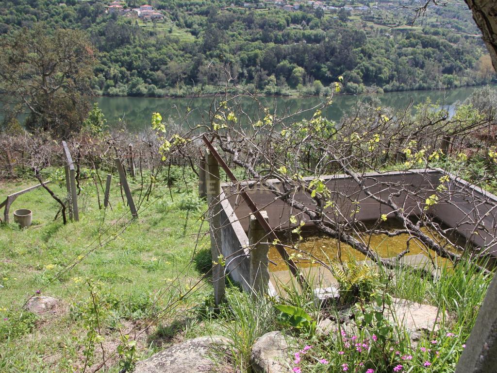 Moradia para restauro com vista rio em Bem Viver, Marco de Canaveses - Image 10
