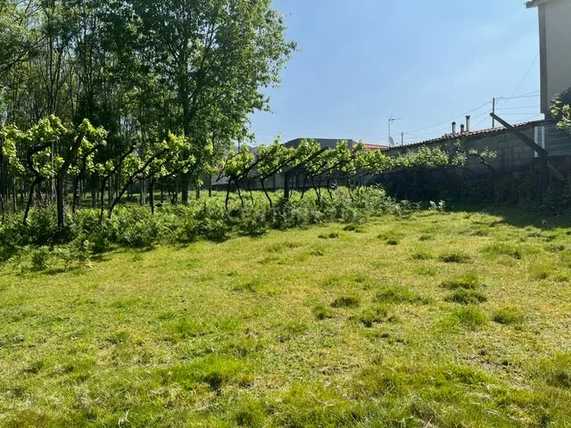 Terreno Rústico à Venda em Perozelo, Penafiel – Perfeito para Moradia - Image 35
