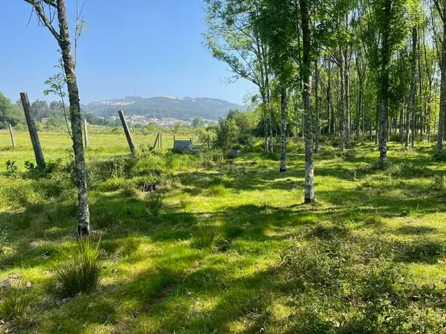 Terreno Rústico à Venda em Perozelo, Penafiel – Perfeito para Moradia - Image 38