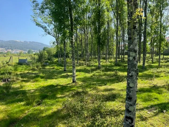 Terreno Rústico à Venda em Perozelo, Penafiel – Perfeito para Moradia - Image 1