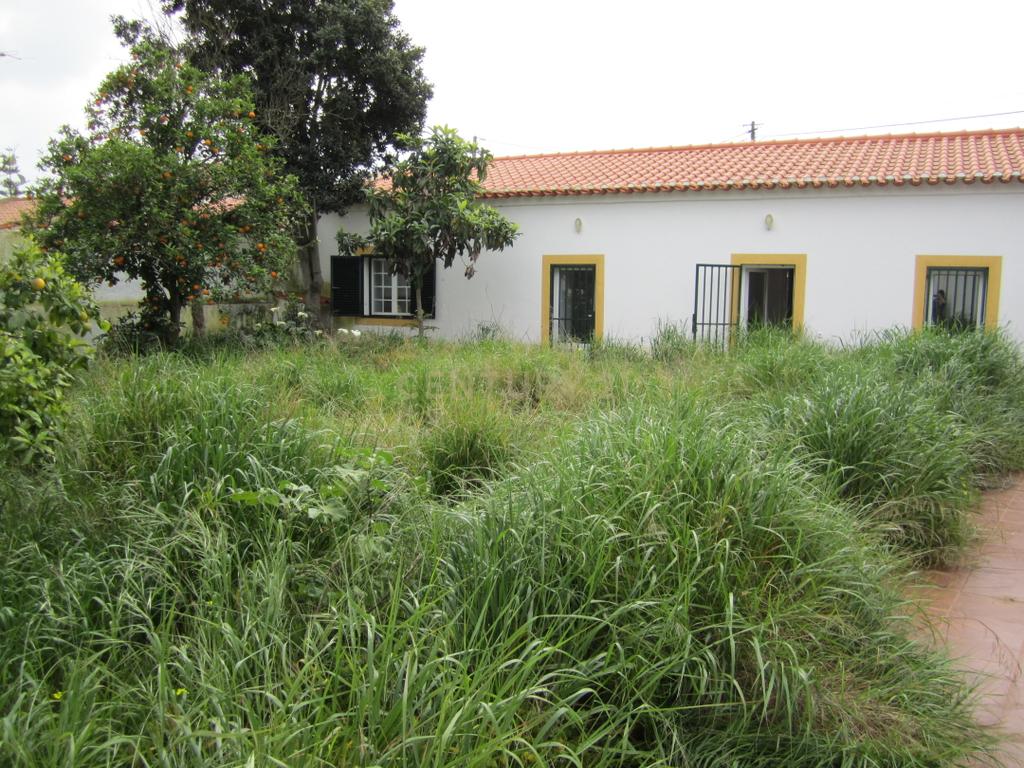 Moradia de 5 assoalhadas Aljustrel - Image 1