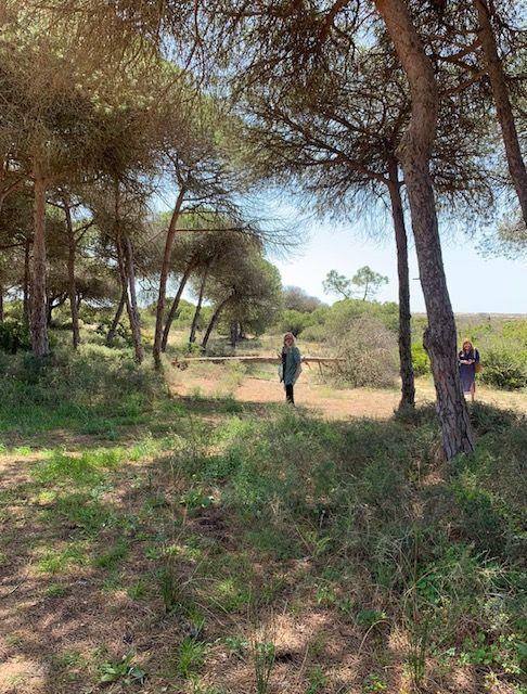 Terreno Quinta Do Lago - Image 4