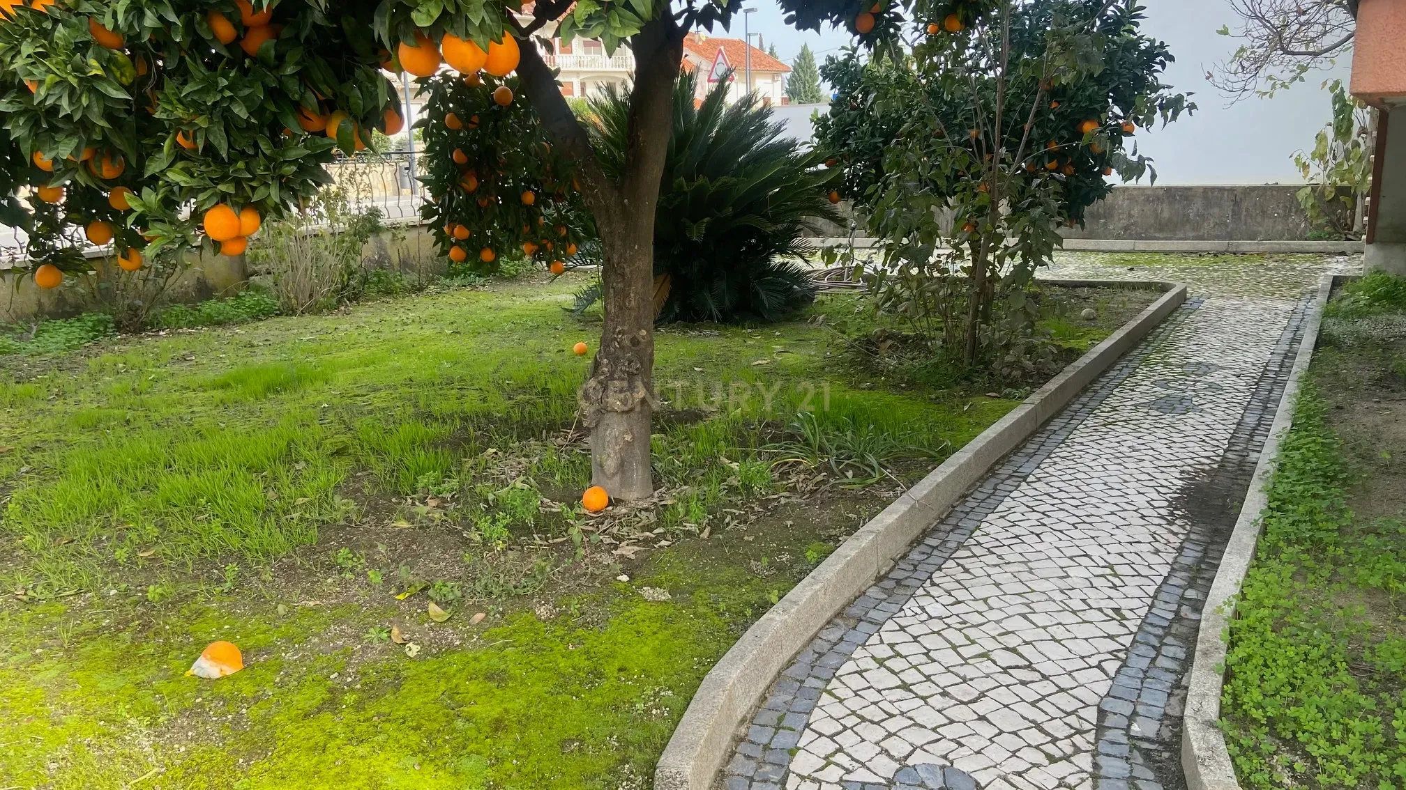 Moradia localizada em zona central da vila de Alcains - Castelo Branco - Image 10