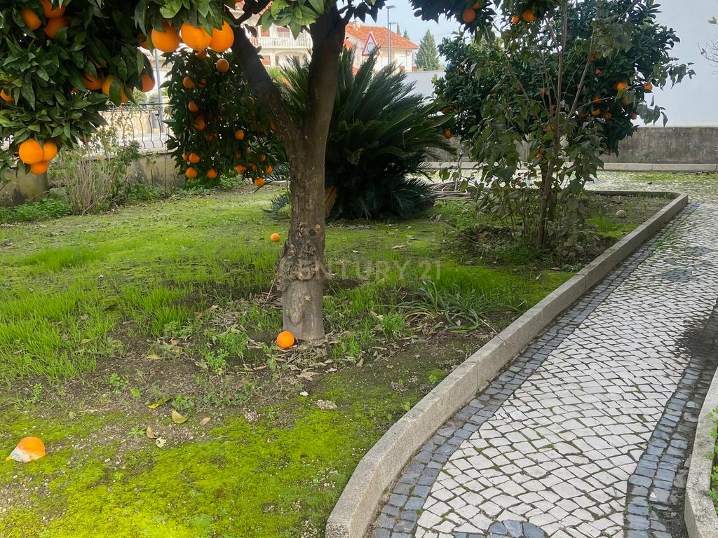 Moradia localizada em zona central da vila de Alcains - Castelo Branco - Image 10
