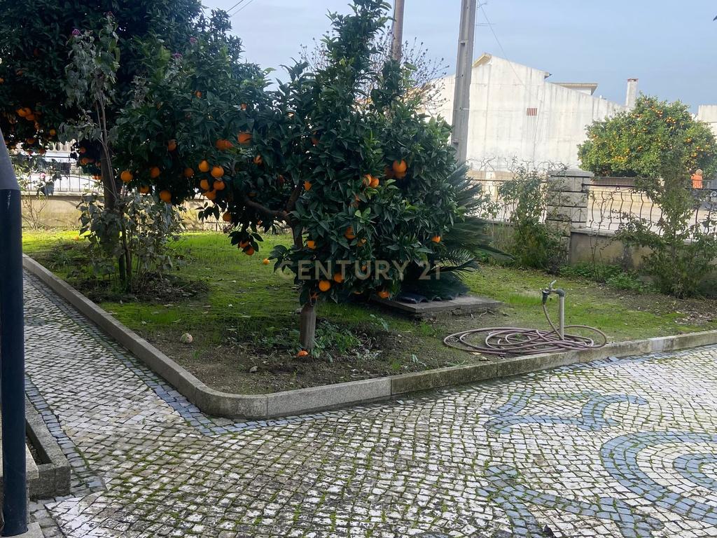 Moradia localizada em zona central da vila de Alcains - Castelo Branco - Image 5