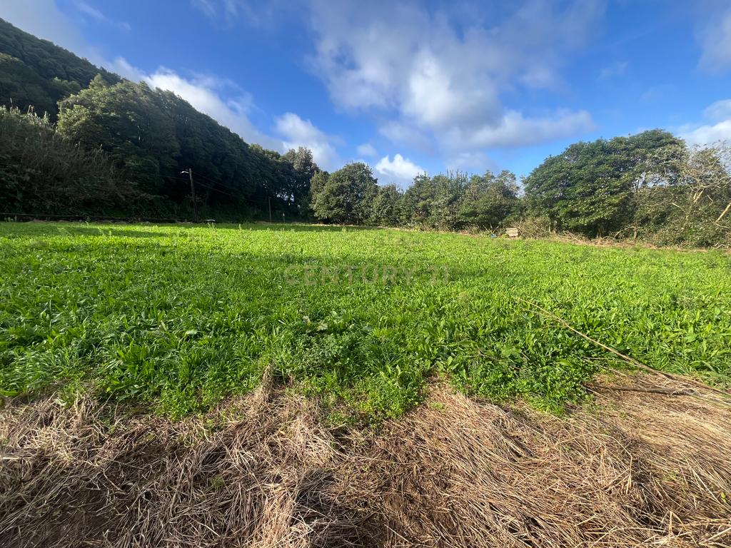 Terreno para construção - Image 4
