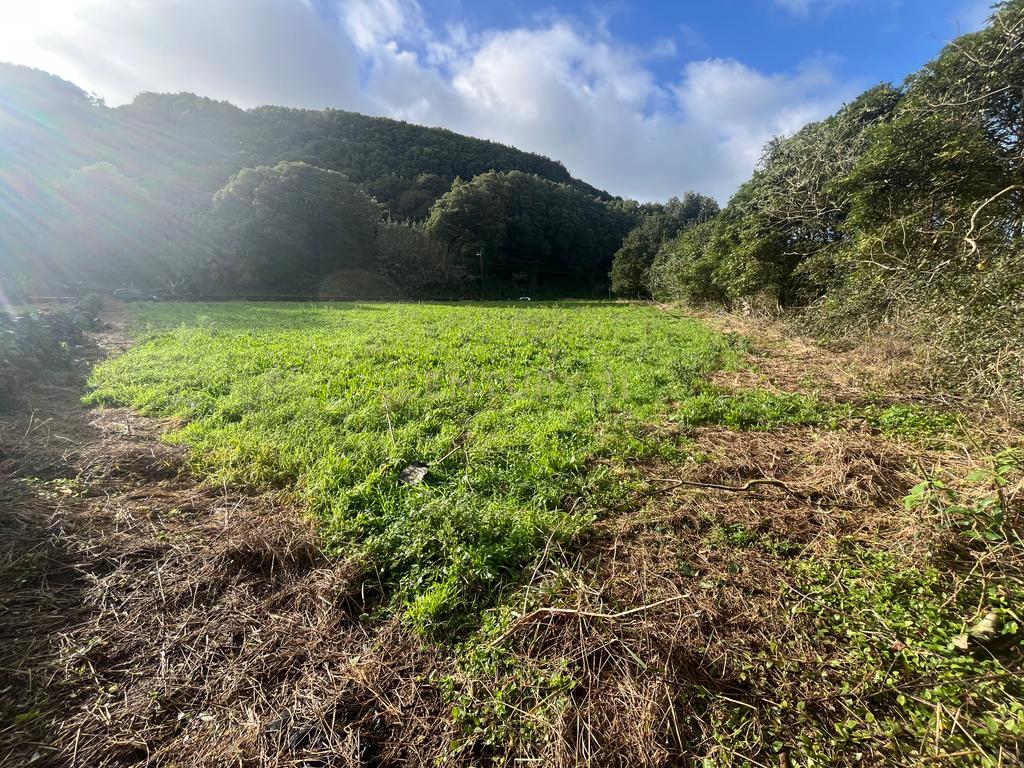 Terreno para construção - Image 2