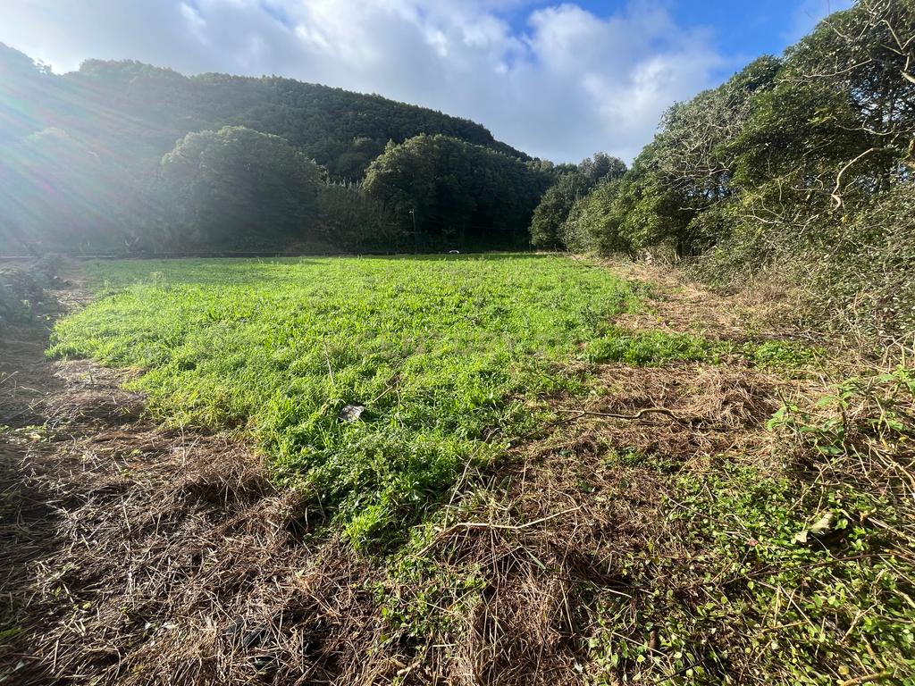 Terreno para construção - Image 3