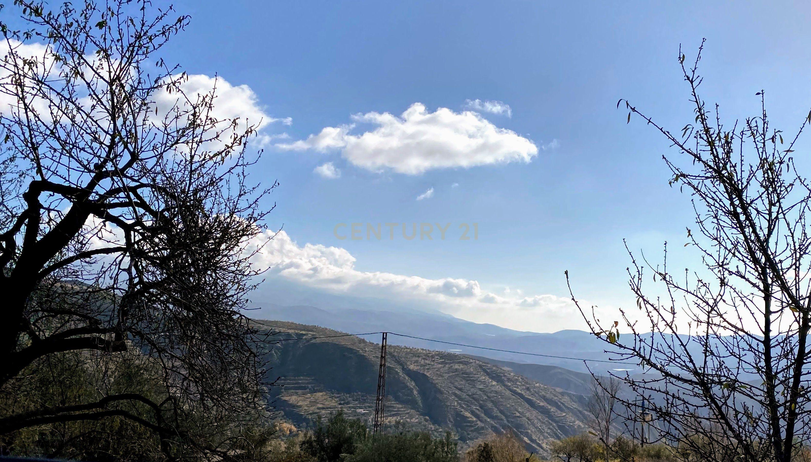 undefined - Image 78