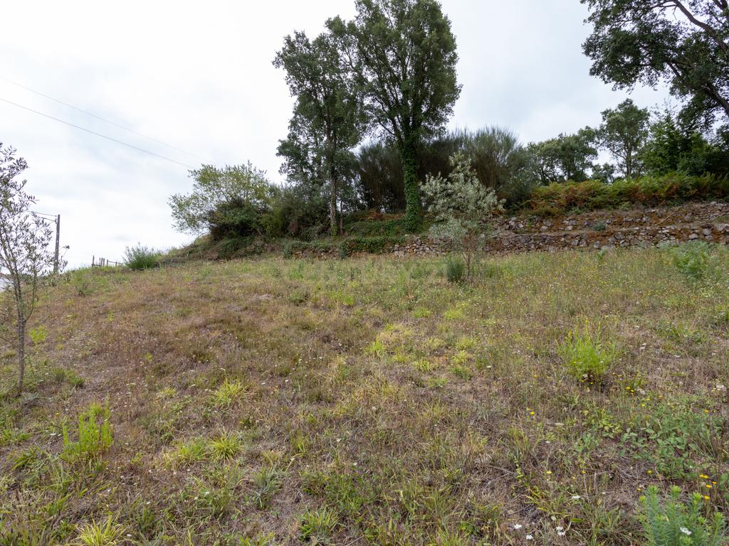 Terreno - Vila Nova de Poiares - Image 7