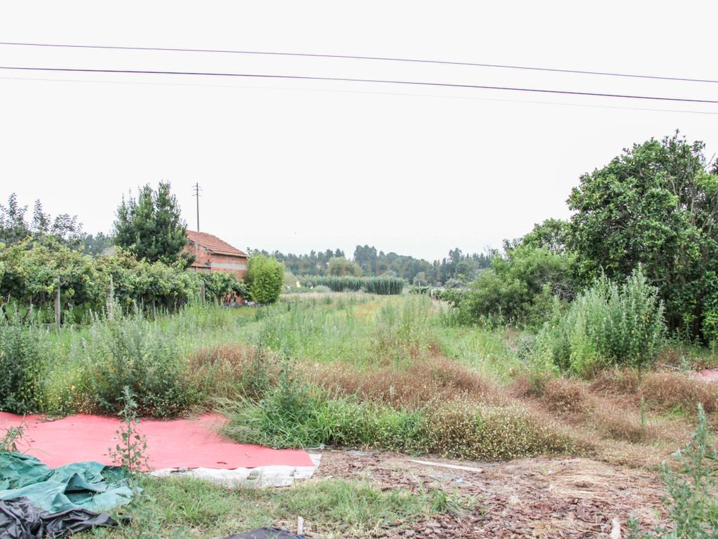 Terreno na Marinha da Guia com Viabilidade de Construção - Image 15