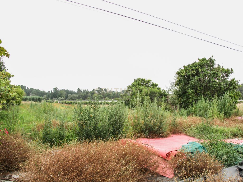 Terreno na Marinha da Guia com Viabilidade de Construção - Image 12