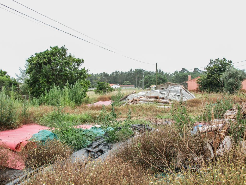 Terreno na Marinha da Guia com Viabilidade de Construção - Image 4