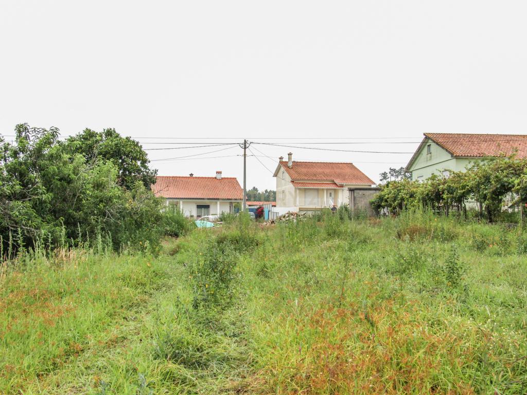 Terreno na Marinha da Guia com Viabilidade de Construção - Image 7