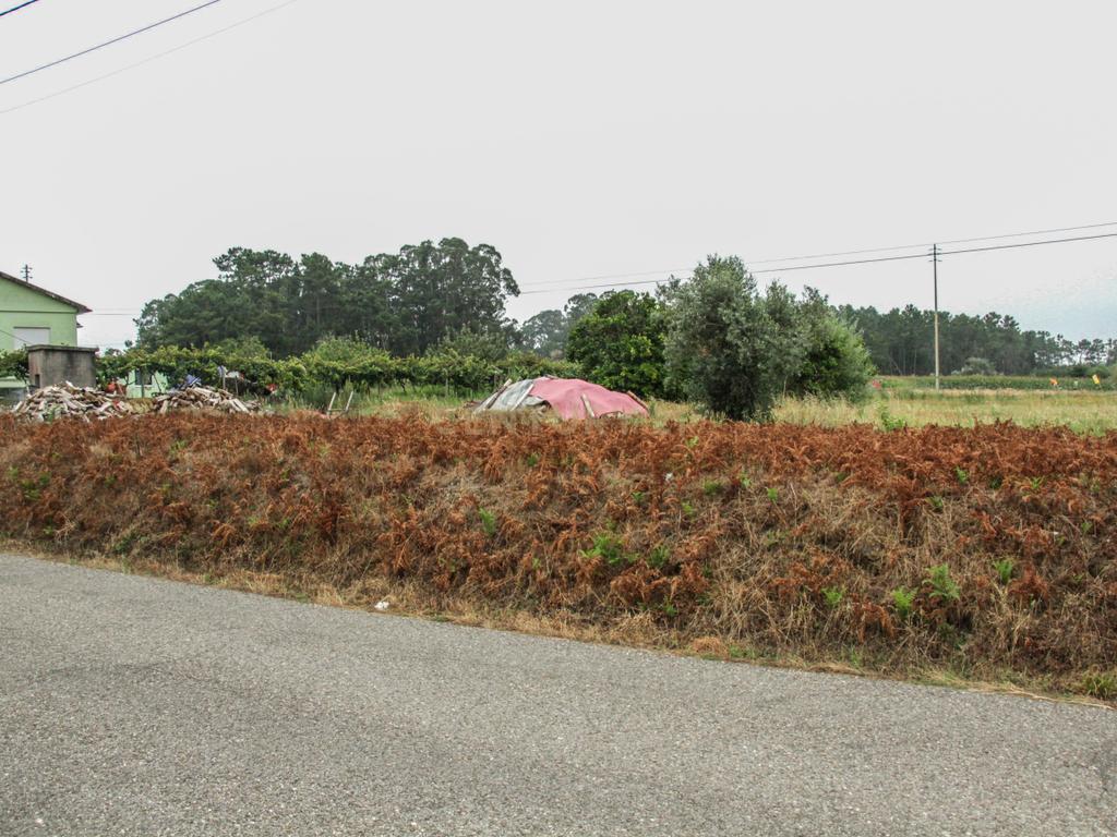 Terreno na Marinha da Guia com Viabilidade de Construção - Image 13