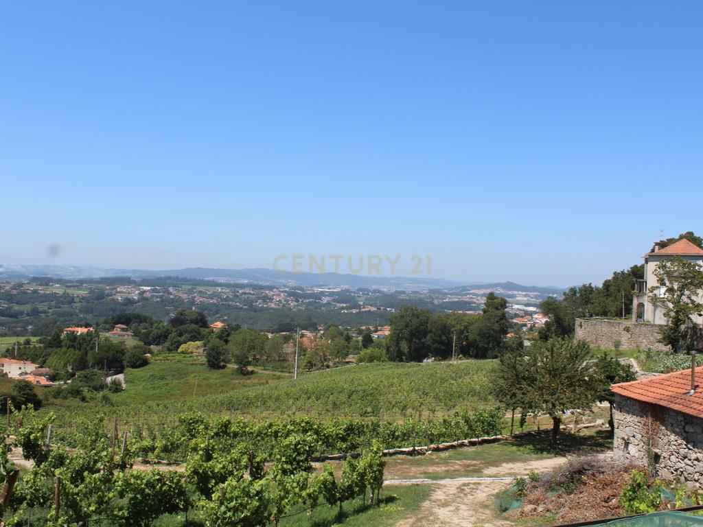 Quinta da Cerqueda, Santo Tirso - Image 10