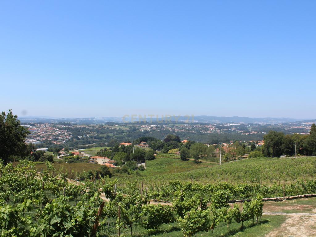 Quinta da Cerqueda, Santo Tirso - Image 5