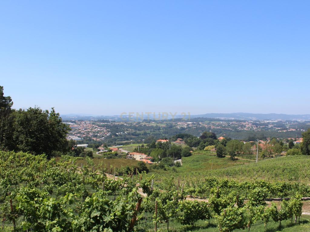Quinta da Cerqueda, Santo Tirso - Image 7
