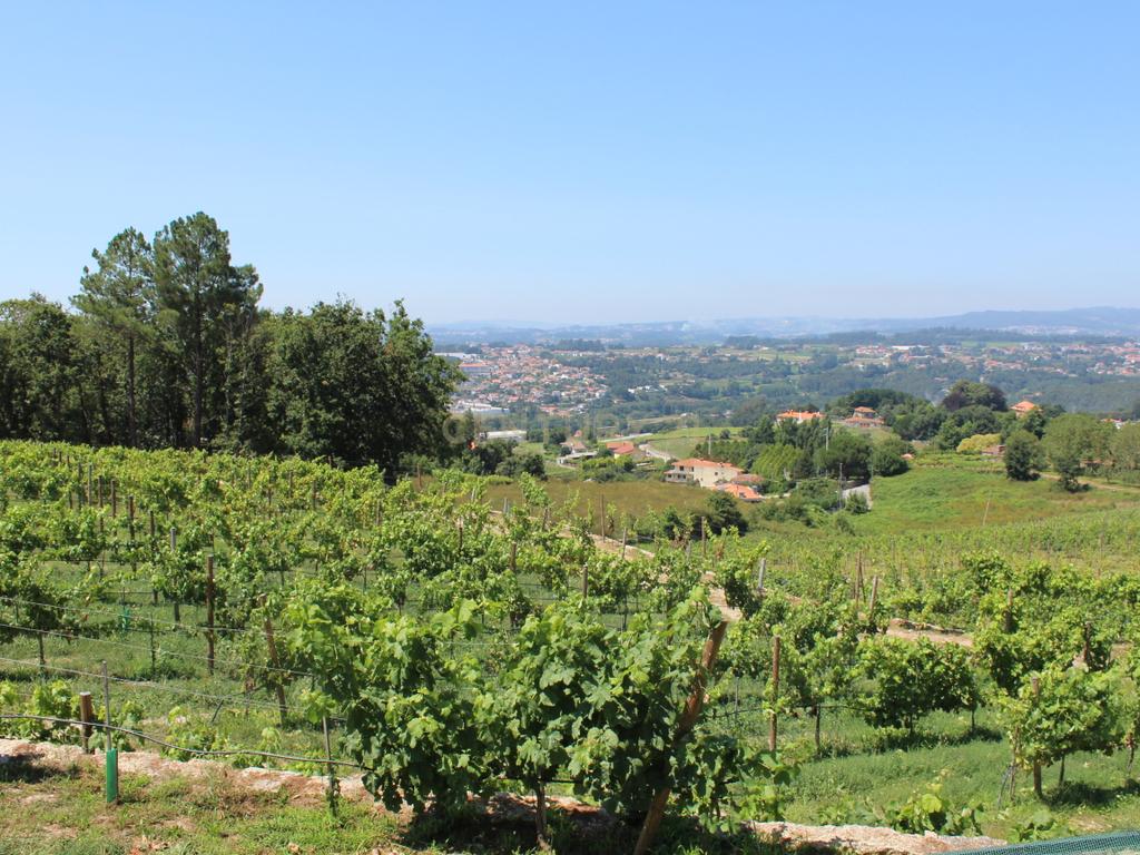 Quinta da Cerqueda, Santo Tirso - Image 6