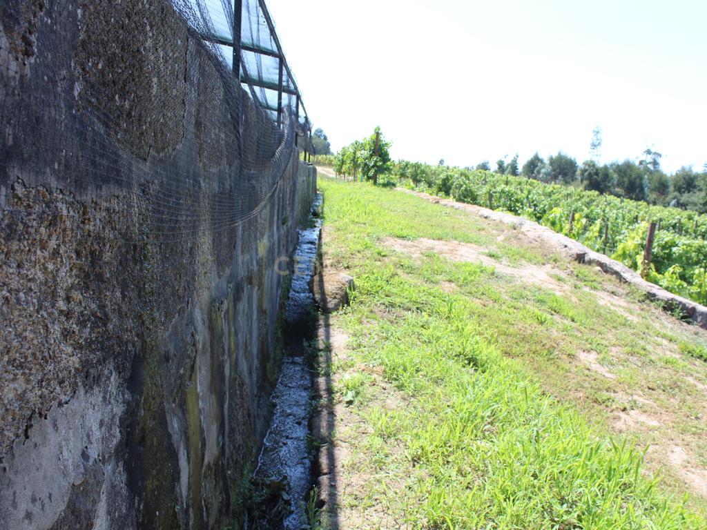 Quinta da Cerqueda, Santo Tirso - Image 49