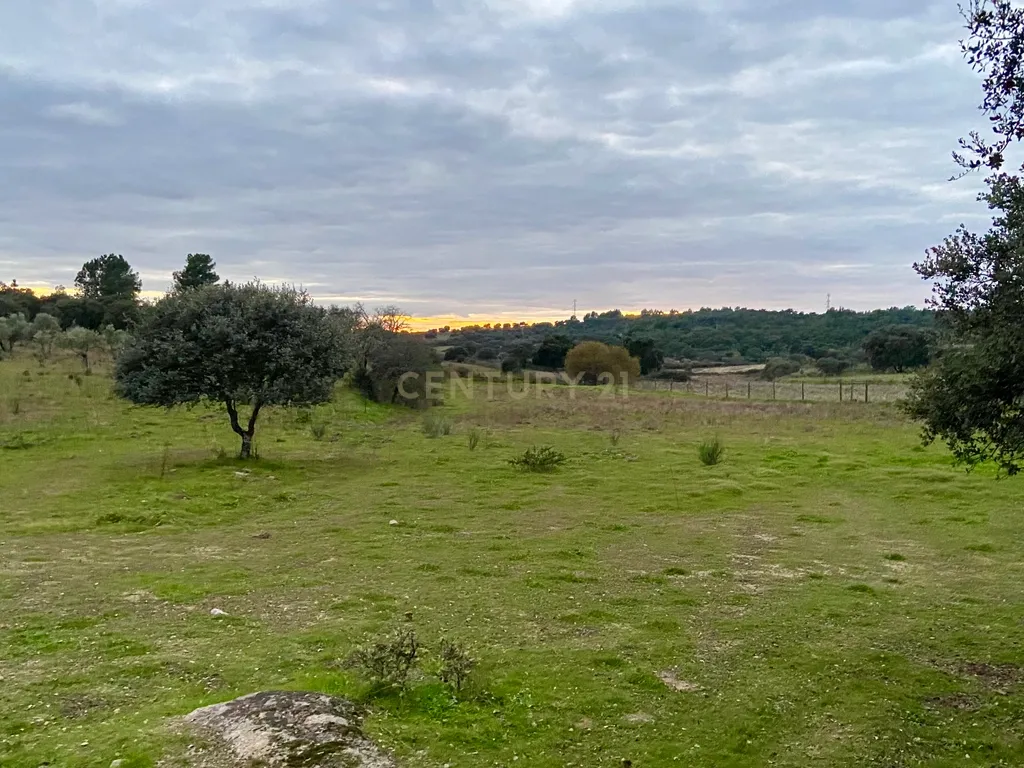 Terreno rústico com 4,5 hectares em Martianas – Orca - Fundão - Image 14