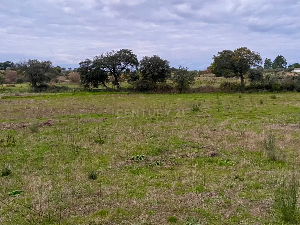 Terreno rústico com 4,5 hectares em Martianas – Orca - Fundão - Image 7