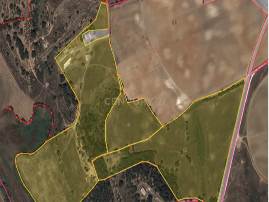 Quinta em Santarém com 24 Hectares de Terreno - Image 23