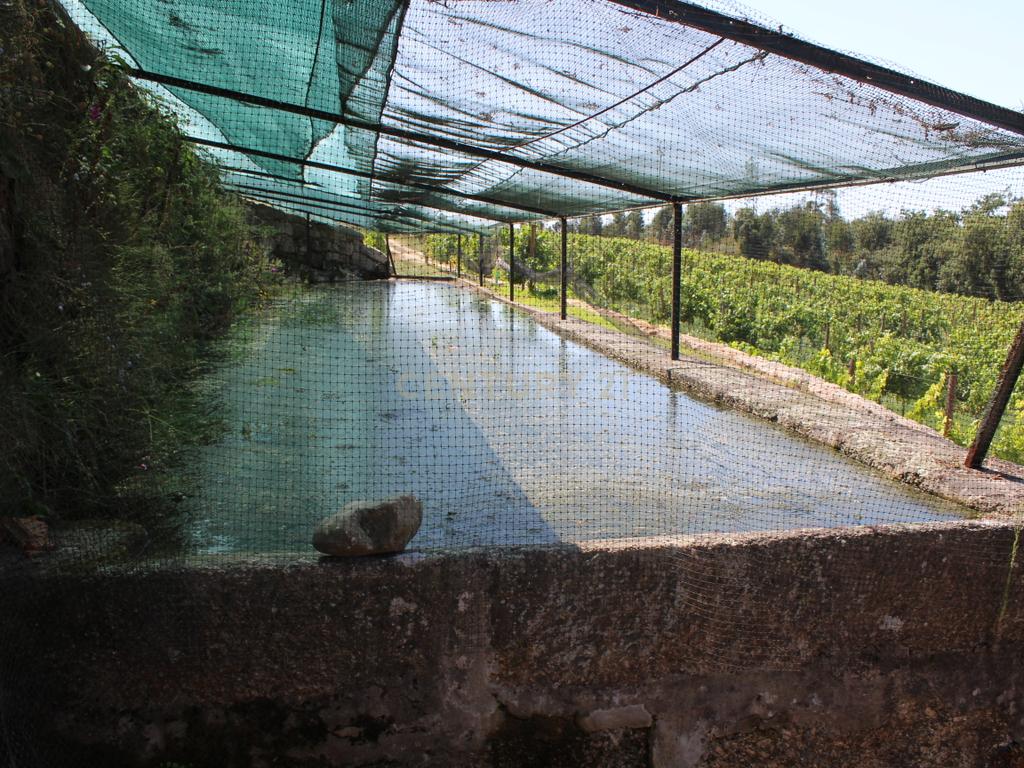 Quinta da Cerqueda, Santo Tirso - Image 51