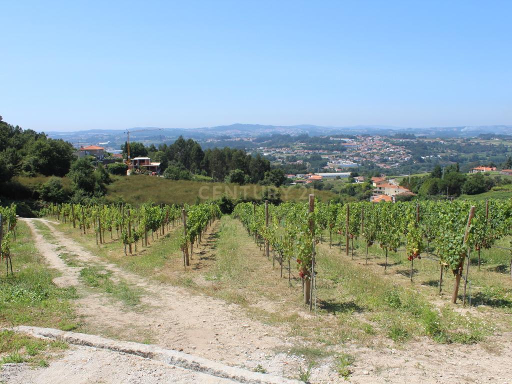 Quinta da Cerqueda, Santo Tirso - Image 4