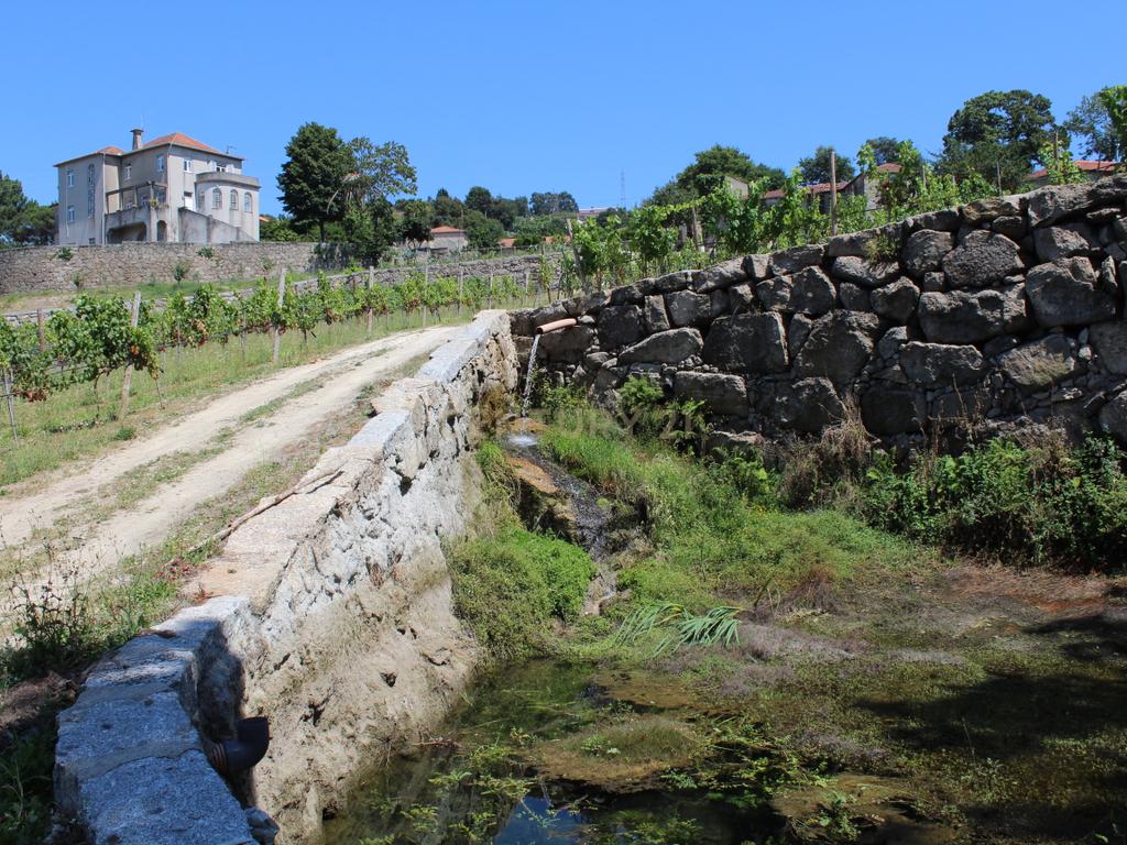 Quinta da Cerqueda, Santo Tirso - Image 17