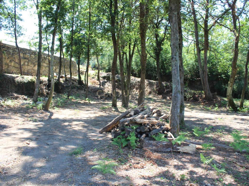 Quinta da Cerqueda, Santo Tirso - Image 52