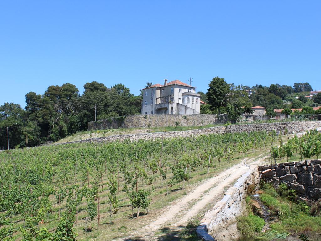 Quinta da Cerqueda, Santo Tirso - Image 1