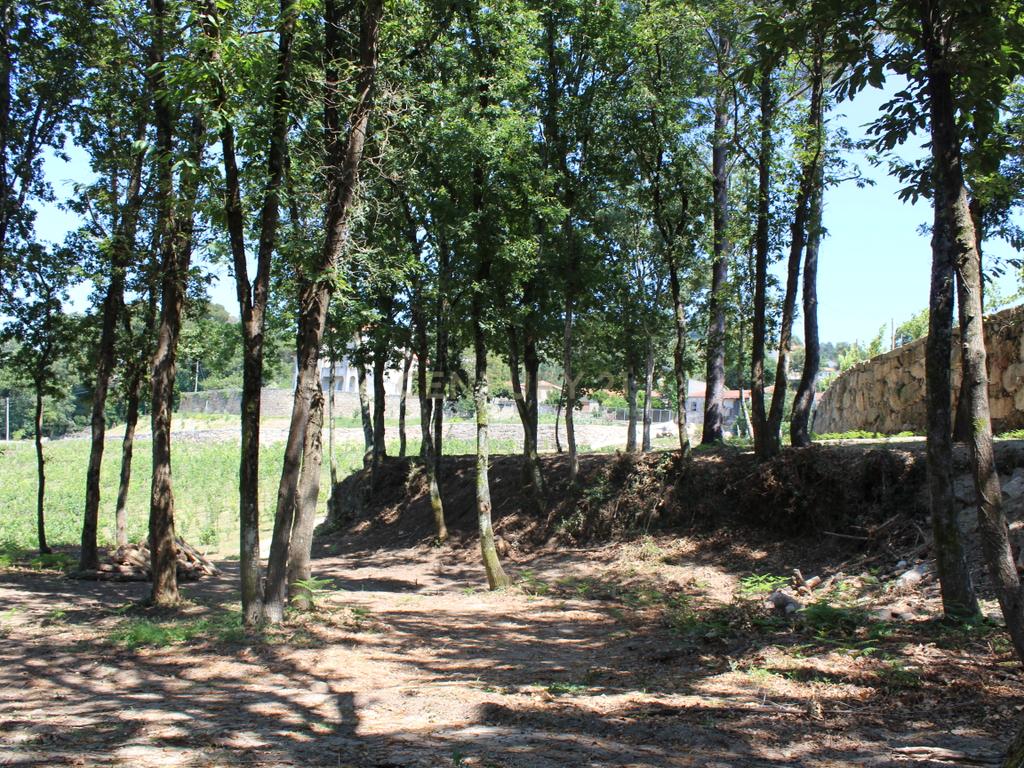 Quinta da Cerqueda, Santo Tirso - Image 54
