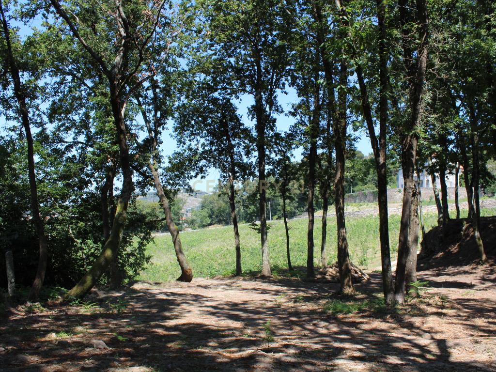 Quinta da Cerqueda, Santo Tirso - Image 53