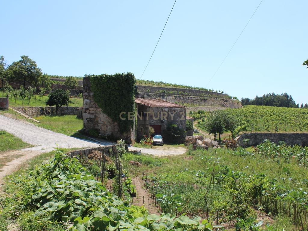 Quinta da Cerqueda, Santo Tirso - Image 31