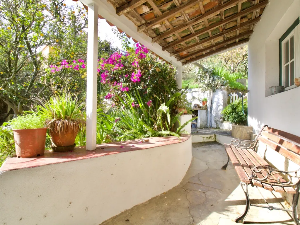 Casa de Charme - Combinação de história, natureza e potencial de desenvolvimento - Torres Vedras - Image 29
