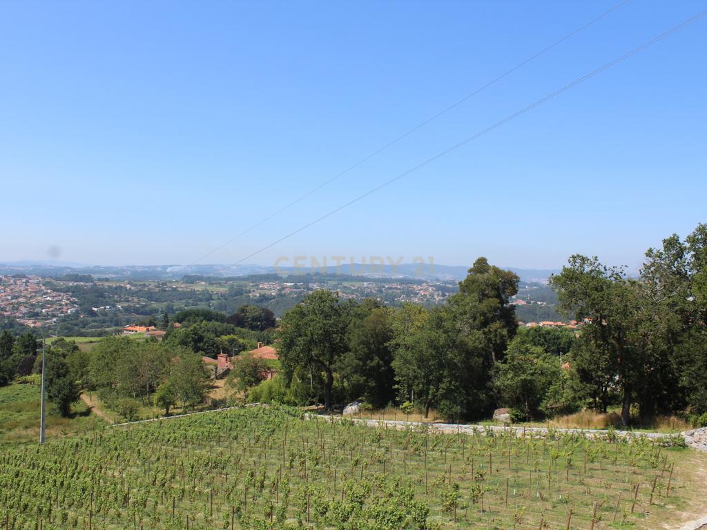Quinta da Cerqueda, Santo Tirso - Image 11
