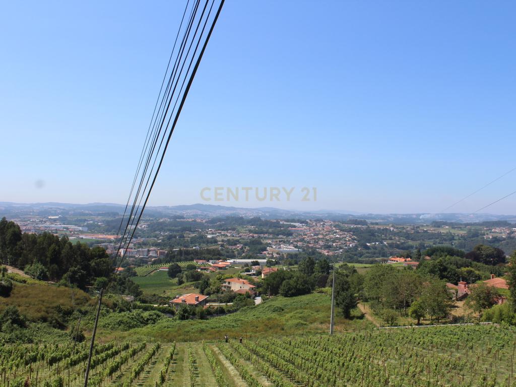 Quinta da Cerqueda, Santo Tirso - Image 12
