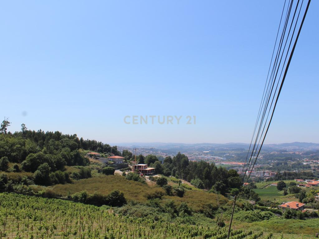 Quinta da Cerqueda, Santo Tirso - Image 8